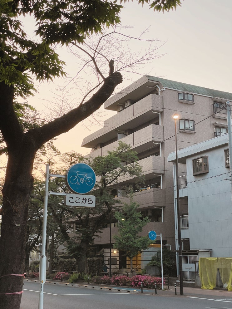  【95, 주간기록 20주차】 세이유 배달 후기 | 세븐일레븐 한국 특집? | 도쿄의 풍경 사진 모음