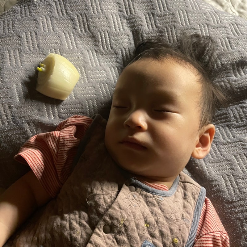 아기 코막힘 양파 아기코감기 해결방법