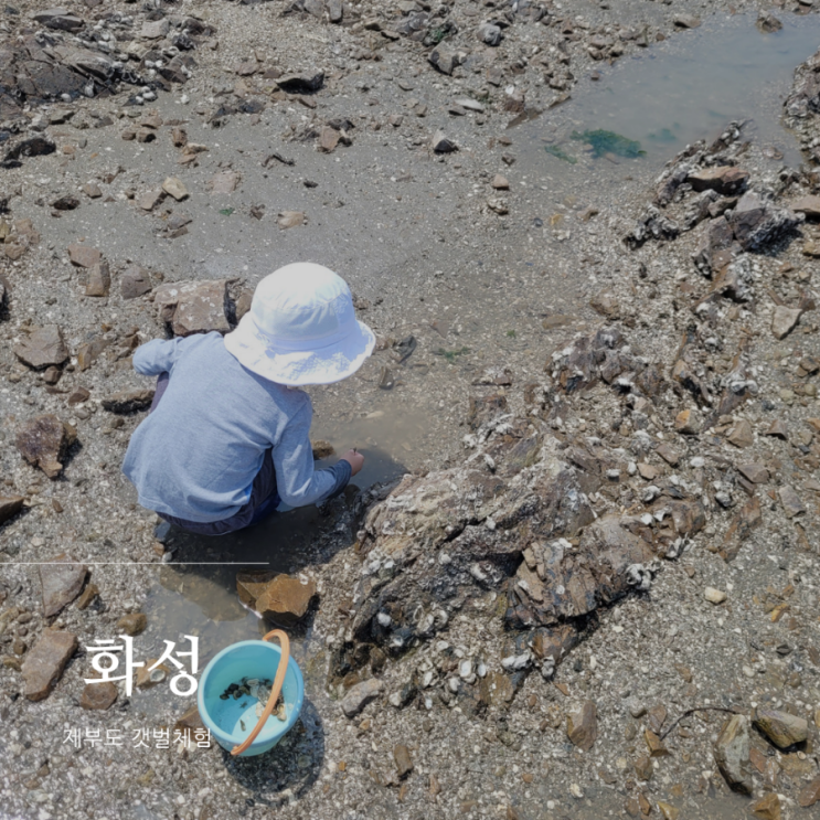 제부도 해수욕장 갯벌체험 / 아이와 당일치기 가볼만한 곳