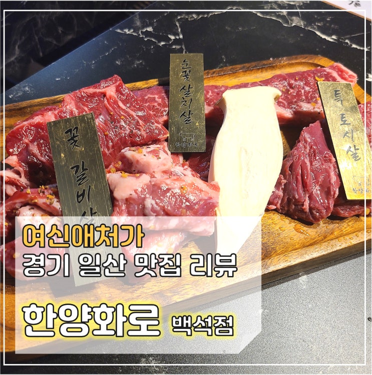 일산 백석역맛집 고기집, 한양화로, 회식장소 추천