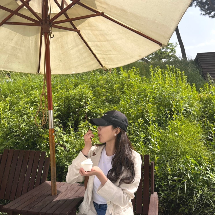  강릉 초당순두부 젤라또 - 안목해변 순두부젤라또 2호점 솔직후기