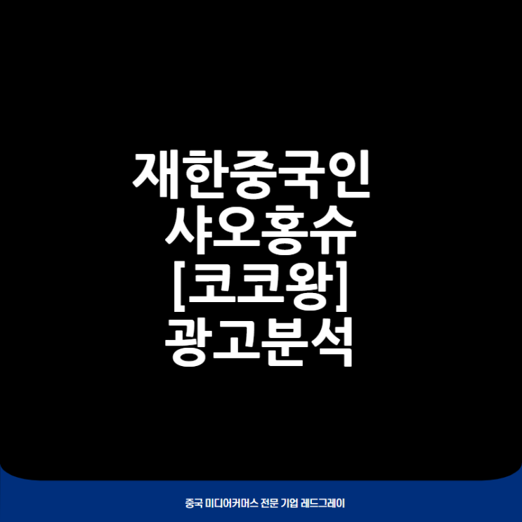  [왕홍마케팅] 최고의 재한중국인 샤오홍슈 계정 [코코왕] 광고사례 1_23.05.18