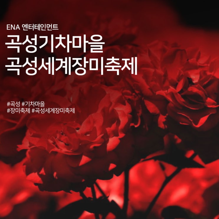  곡성 기차마을 축제 : 곡성세계장미축제 정보