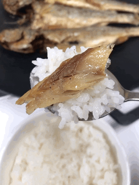  법성포 찐보리굴비 밥도둑 에레츠영광굴비 맛 후기