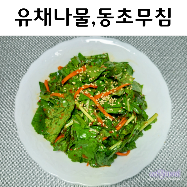  유채나물무침 동초무침 겨울초나물 겉절이