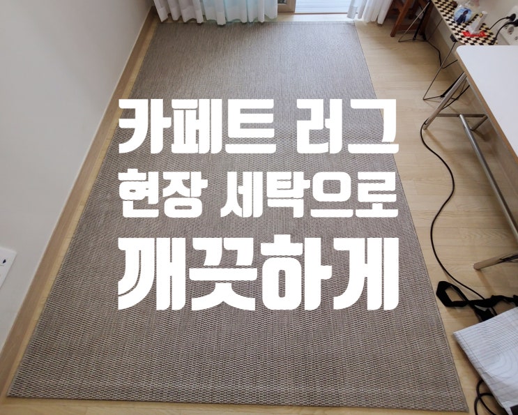  [강서구/양천구] 카페트 러그 세탁 강아지 소변 현장 청소로 깨끗하게