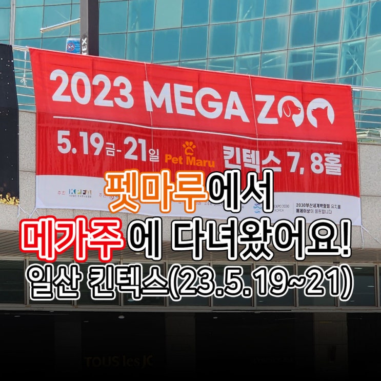  펫마루에서 메가주에 다녀왔어요! 일산 킨텍스(23. 5. 19. ~ 21.)