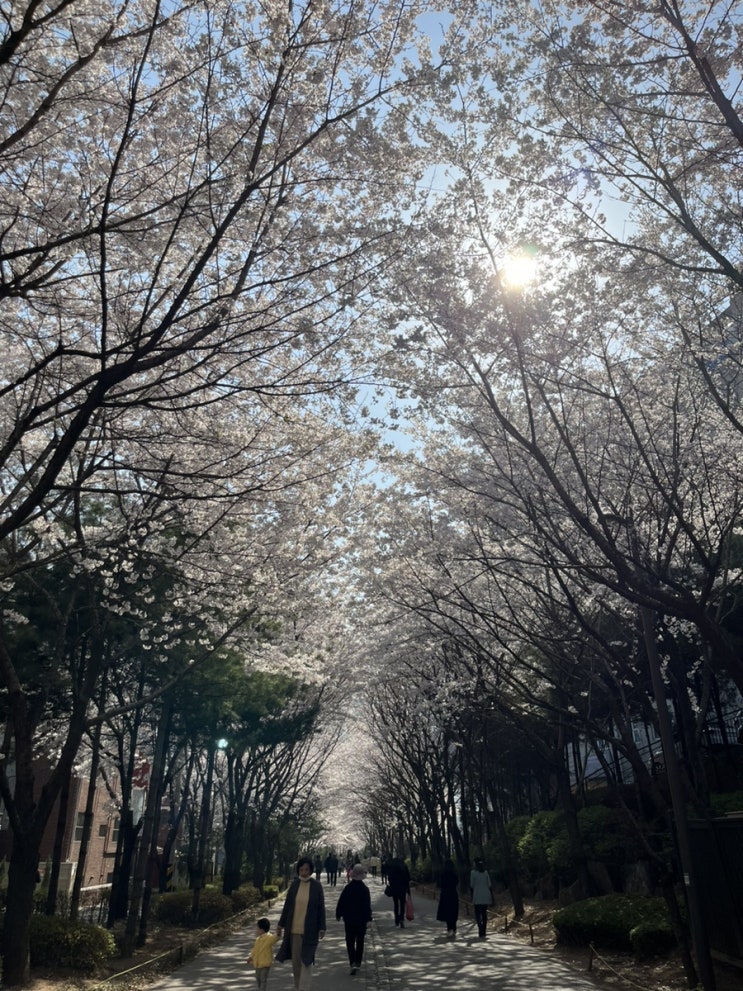  경의선 숲길 공원