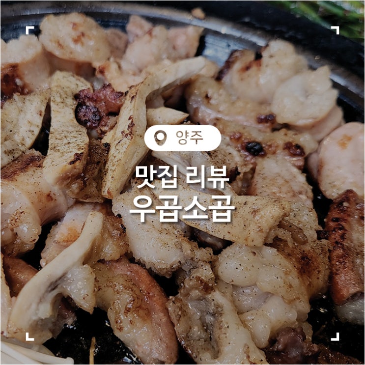  양주 고읍 맛집 입안 가득 고소함이 퍼지는 소곱창이 맛있었던 우곱소곱