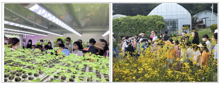 서울시, 초등학생 가족 참여 `자연과 함께하는 토요나들이` 운영