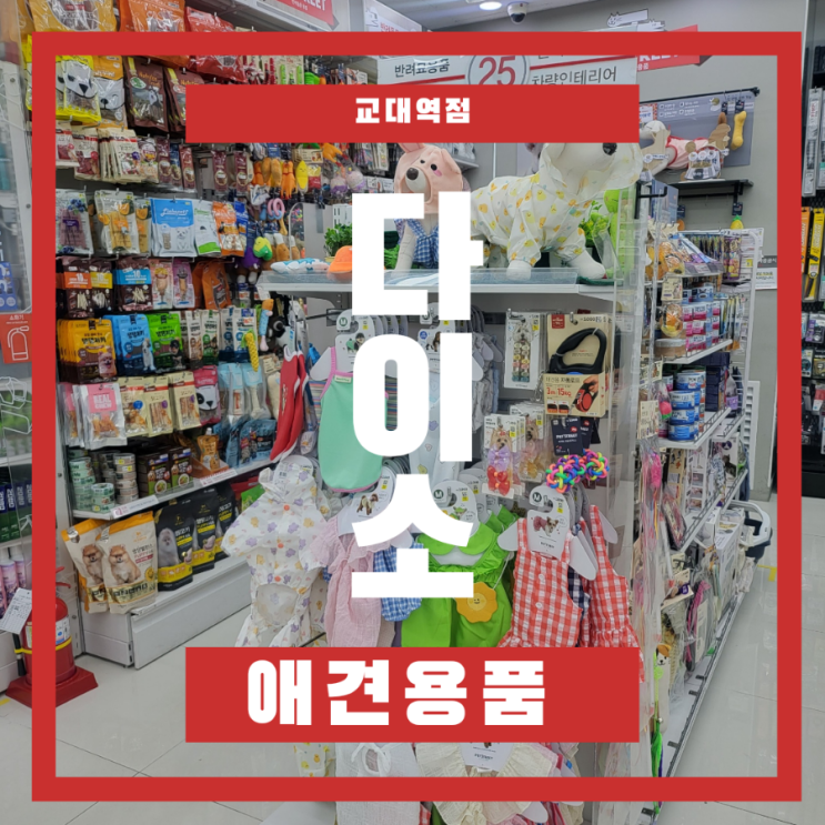  교대역 다이소 강아지 추천템 및 영업시간 애견용품 내돈내산