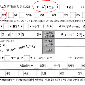 해외여행자보험 2건 / 에어팟 리퍼 / 비례배상