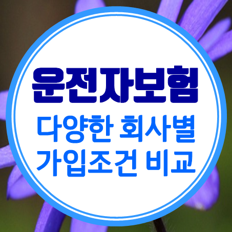  운전자보험설계 금액 비교 및 다양한 비갱신 운전자보험료계산 셀프로 가능해요.
