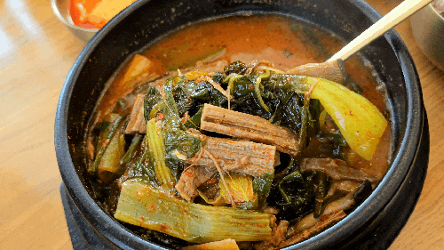  강릉 맛집 현지인 추천 맛집 뜨끈하고 맛 좋은 소고기 보양탕 강릉명가
