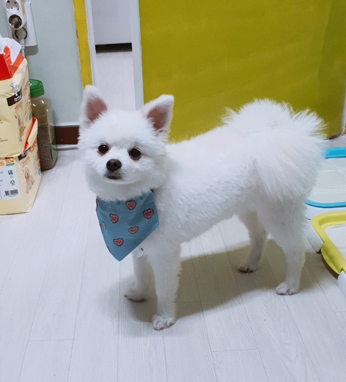  [룩또] 이번주 1069회 로또당첨번호 조합 추천, 지난주 1068회 당첨금 조회