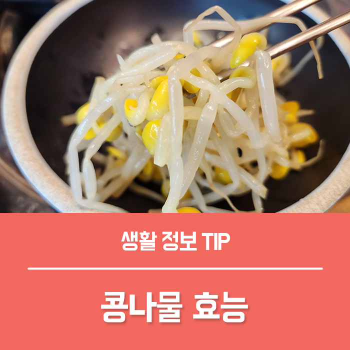  콩나물 효능 5가지, 숙주 콩나물 차이, 콩나물 성분 부작용 총정리!