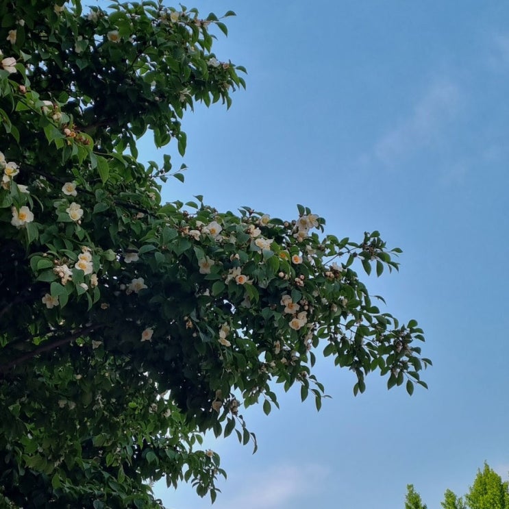 [23.05.24] 로준셍 로준일기