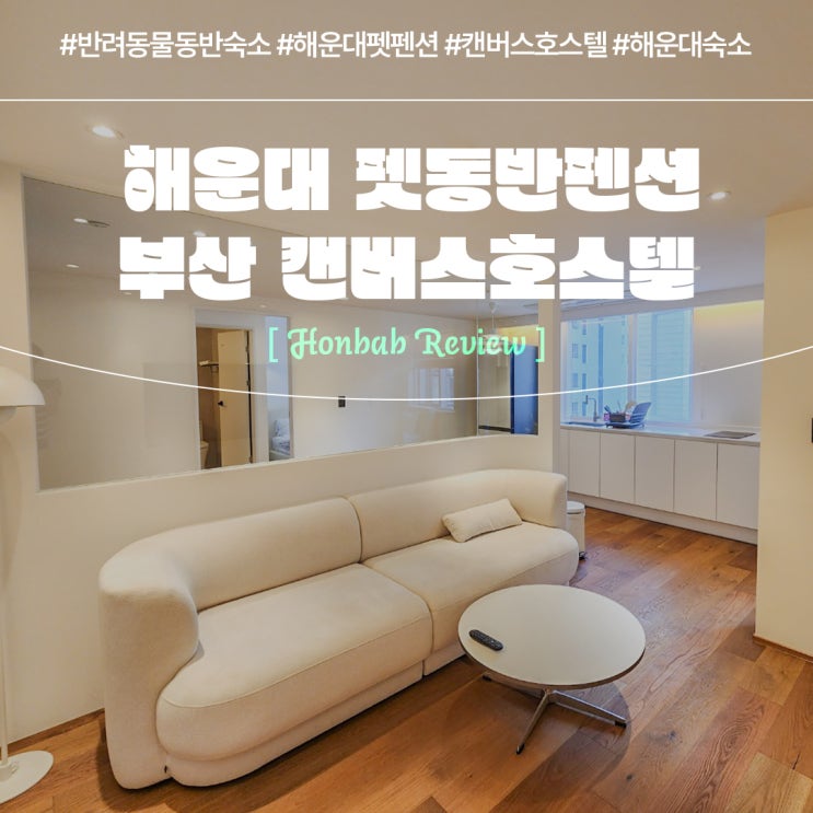  해운대 펫펜션 캔버스호스텔 (feat. 부산 반려동물 동반 숙소 )
