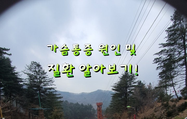 가슴통증 원인 및 질환 알아보기! 가슴통증 원인 및 질환 알아보기!