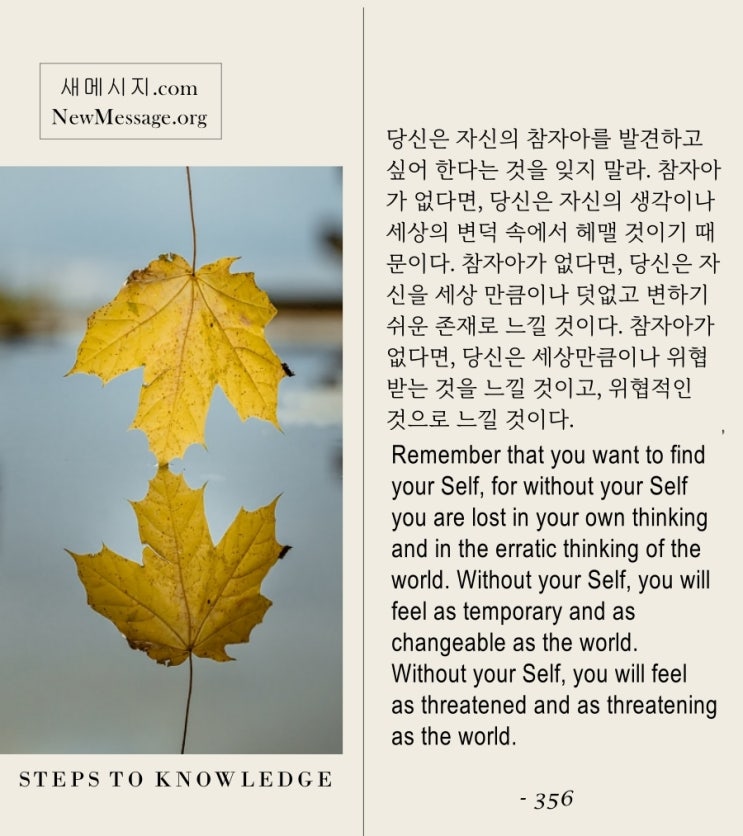 제 356 계단: 나는 오늘 참자아를 발견할 것이다 I will find my Self today. 제 356 계단: 나는 오늘 참자아를 발견할 것이다 I will find my Self today.
