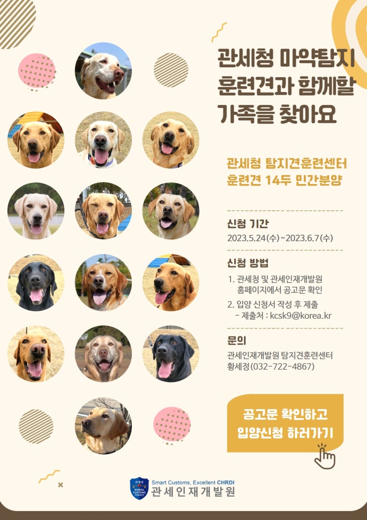 마약탐지 훈련견과 함께할 가족을 찾습니다 마약탐지 훈련견과 함께할 가족을 찾습니다
