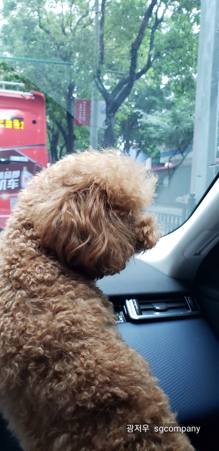  :)  한국출장