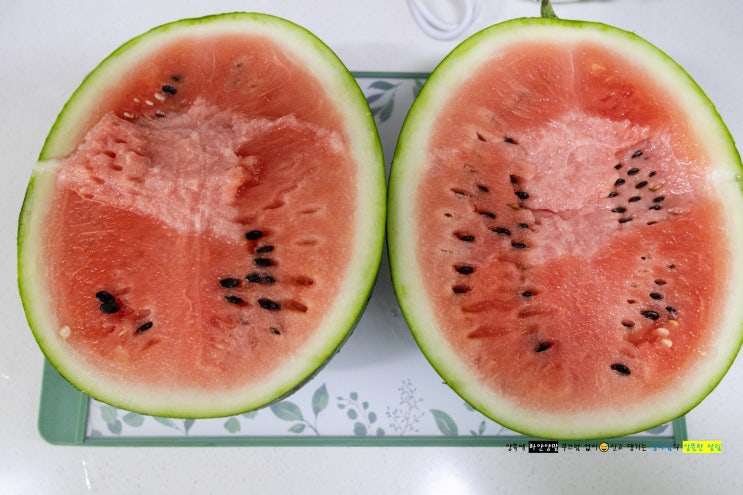  쿠팡 로켓 프레시 한반도 당도선별 수박 5KG 미만