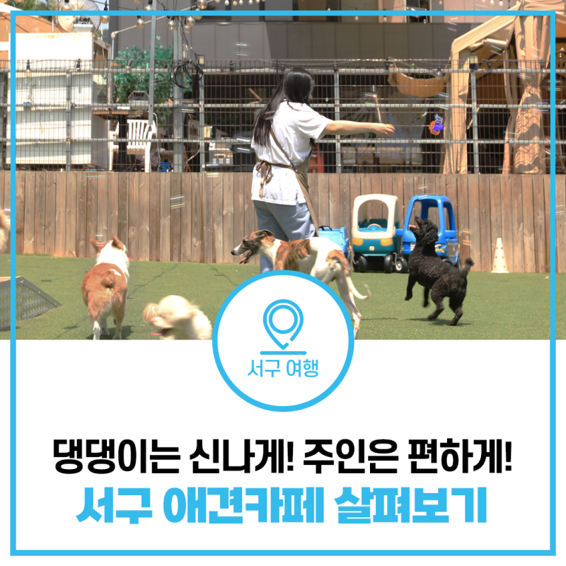 사진 2