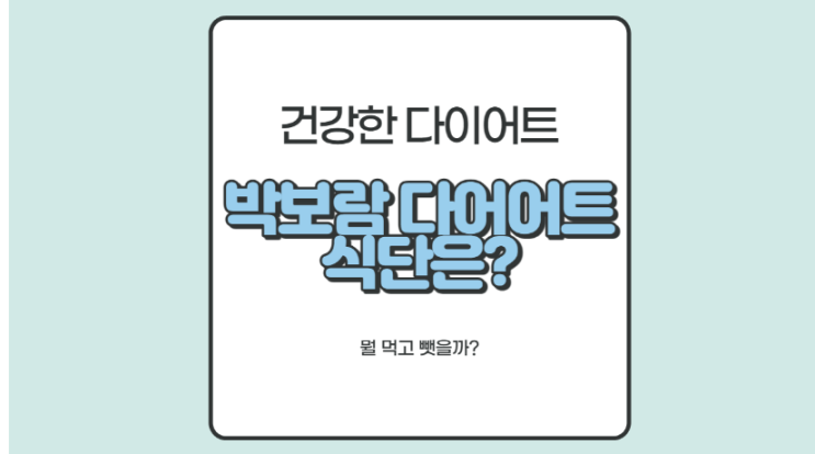  박보람 다이어트 식단 및 후기