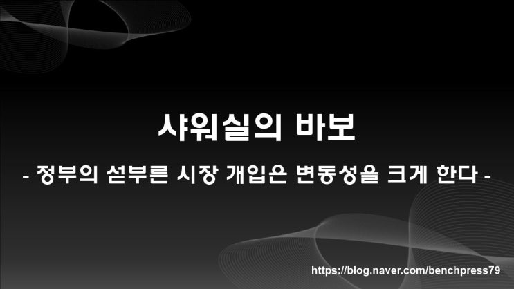  샤워실의 바보, 정부의 섣부른 시장 개입에 신중해야