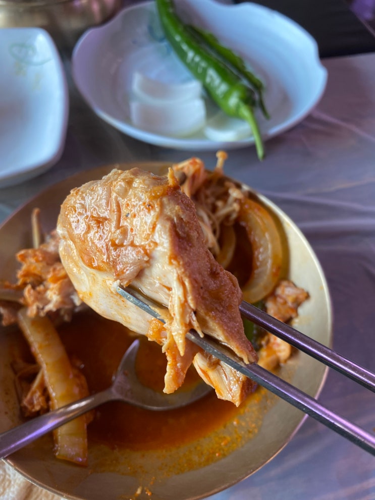  경주 토함산식당 닭도리탕 맛집 방문기