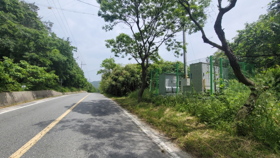 진등산 사진 6
