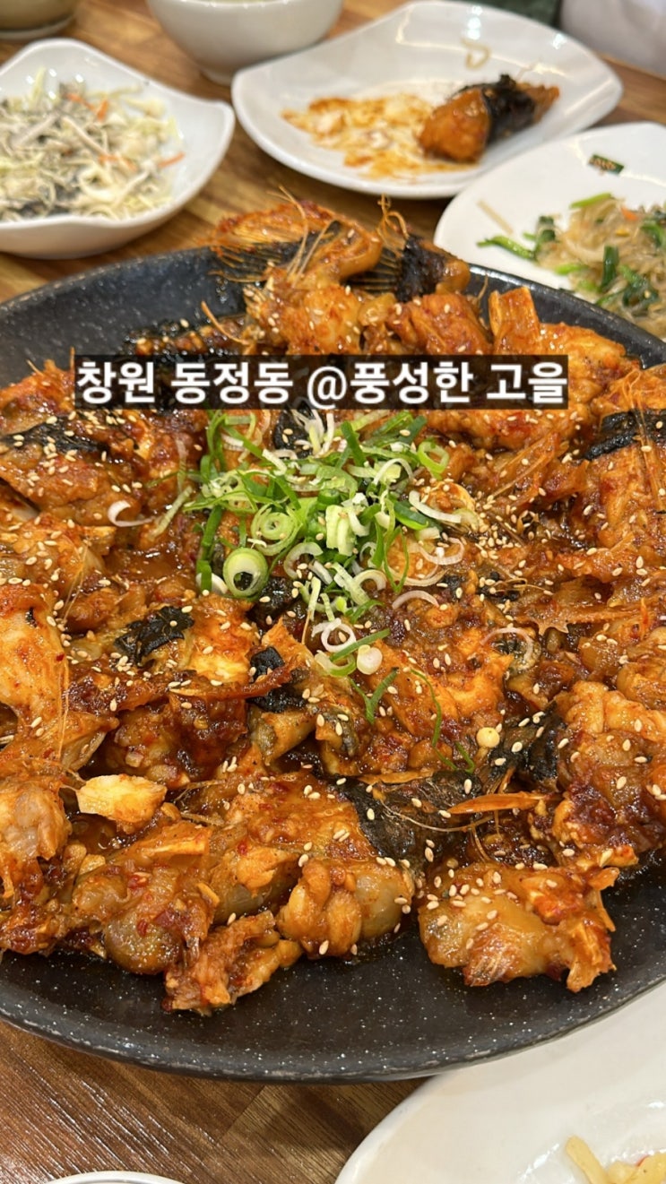  창원 동정동 풍성한고을 아구불고기 찐맛집 !