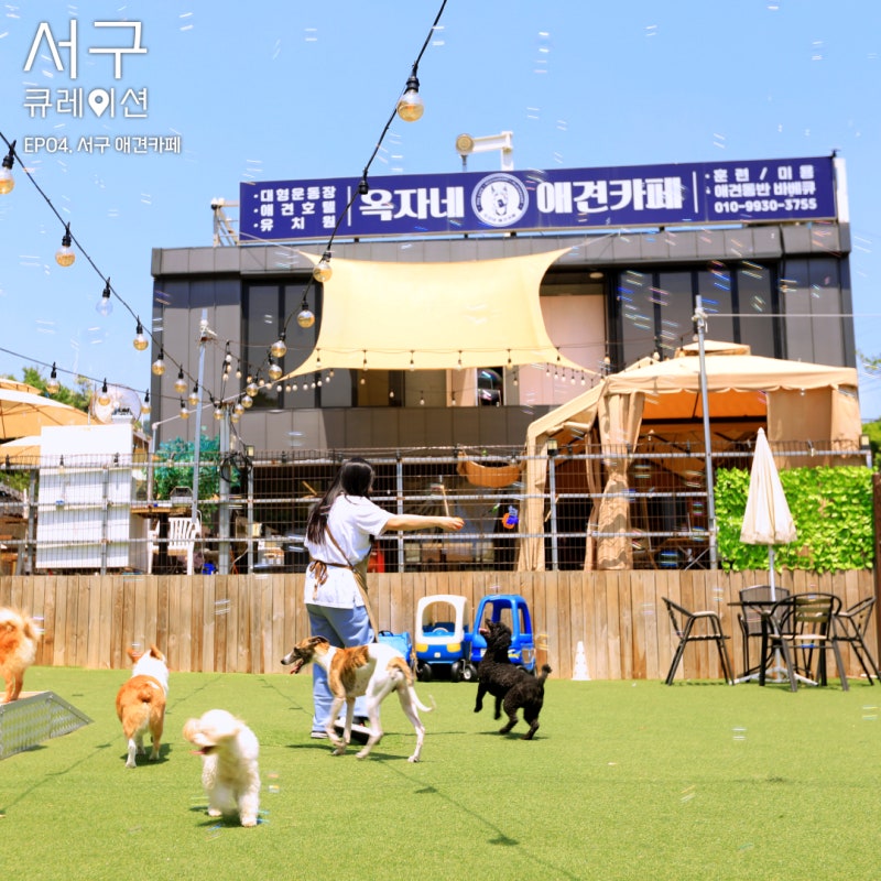 사진 3