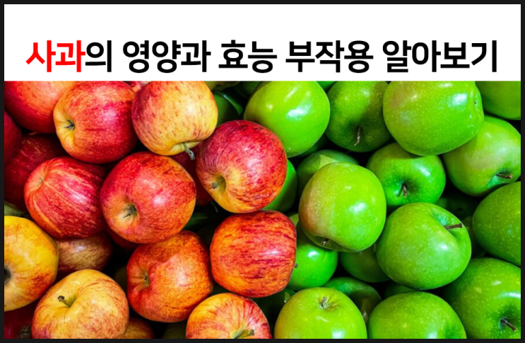  사과(Apple)의 영양과 효능 부작용을 알아보자