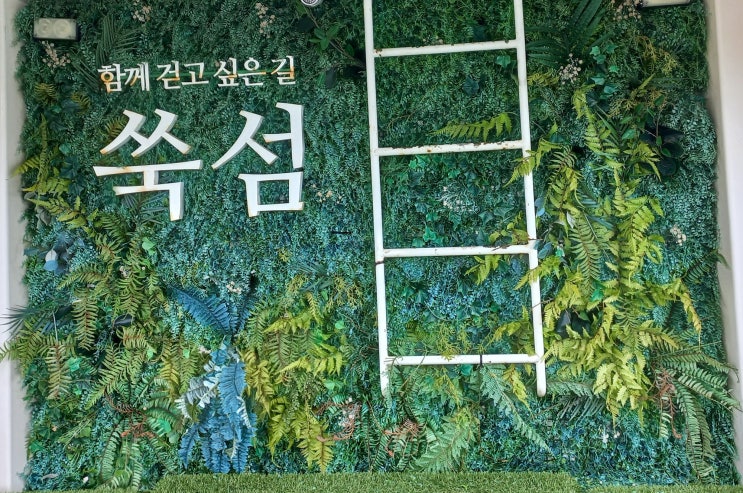  전남 여행지 추천 고흥 쑥섬 꽃들의 비밀정원/ 고양이 (2)