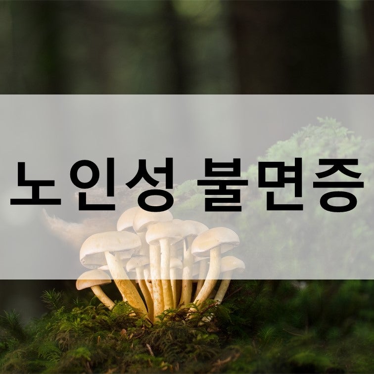 노인성 불면증을 극복하는 방법