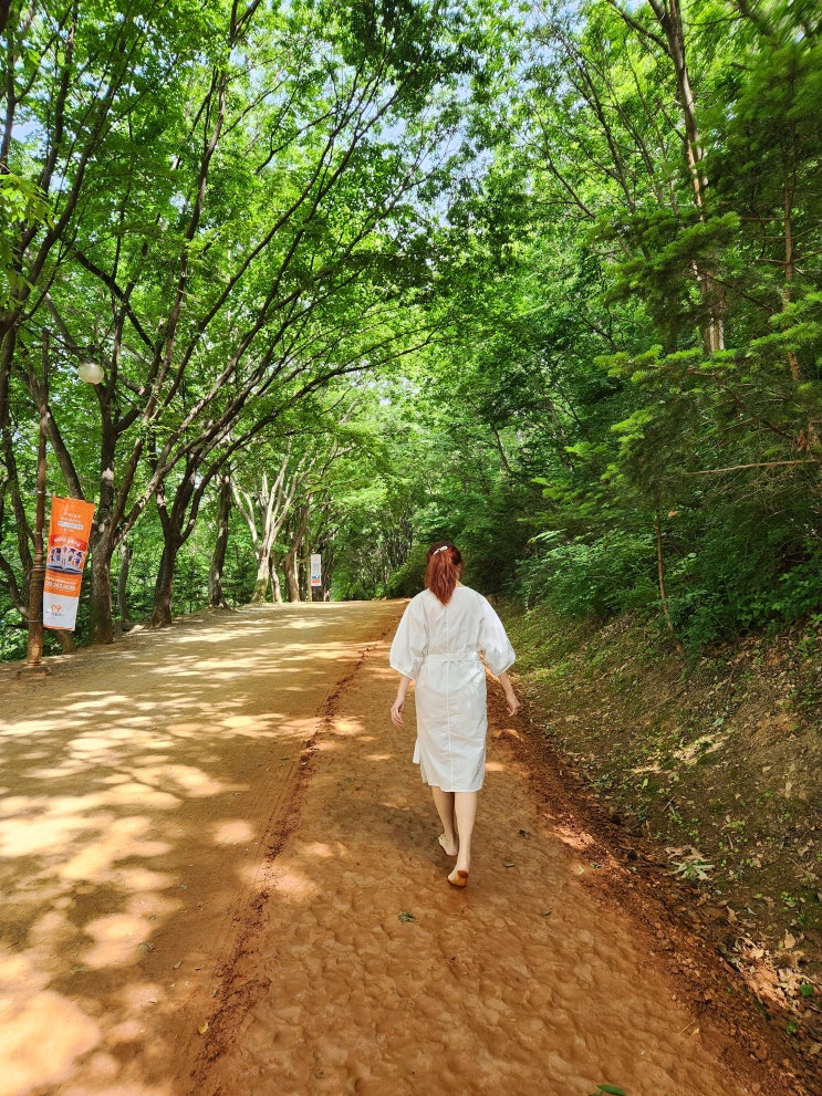 대전 여행지 계족산 황톳길 어싱 맨발걷기 하며 걸어보아요