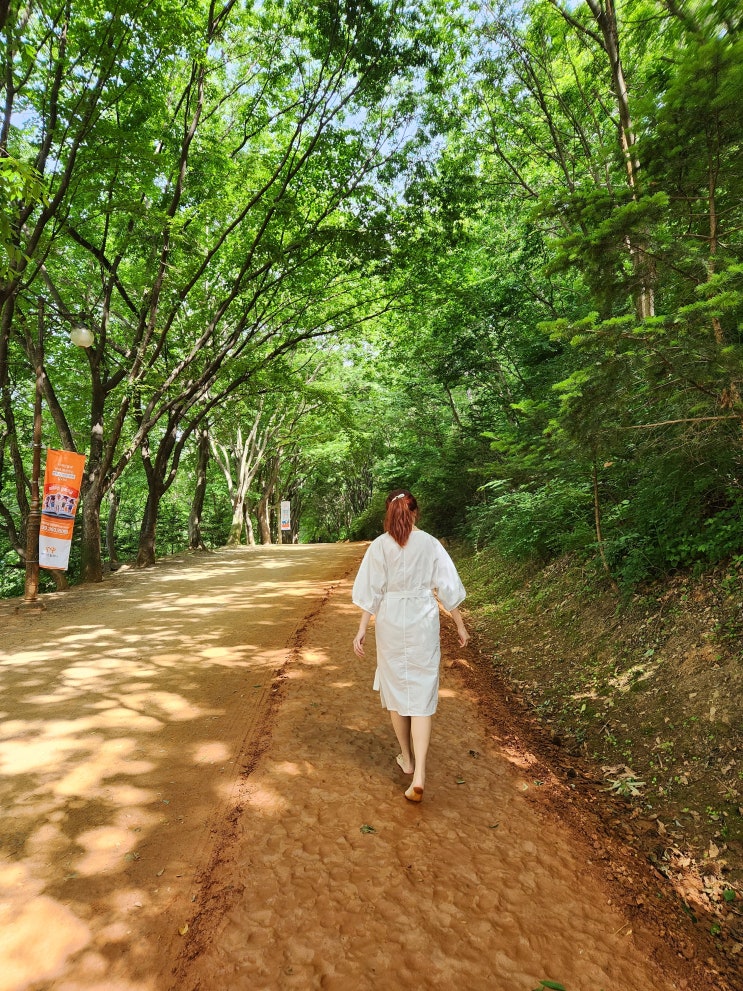 대전 여행지 계족산 황톳길 어싱 맨발걷기 하며 걸어보아요