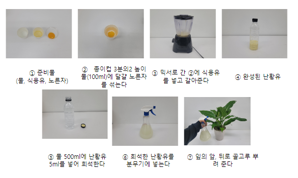 ‘해충 비켜~’ 실내식물 튼튼하게 기르는 방법 ‘해충 비켜~’ 실내식물 튼튼하게 기르는 방법