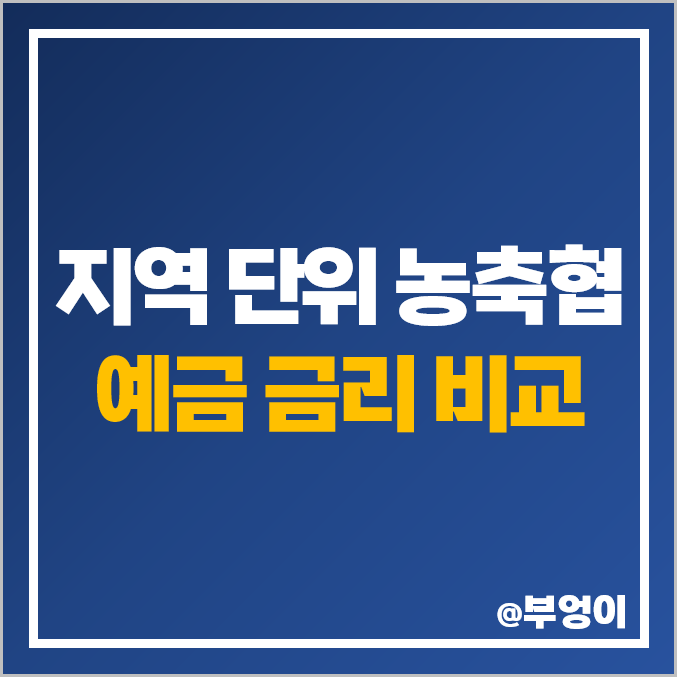 단위 농협, 지역 축협 정기 예금 금리 비교 : 이자 높은 특판 (ft. 농협중앙회 예금자보호)