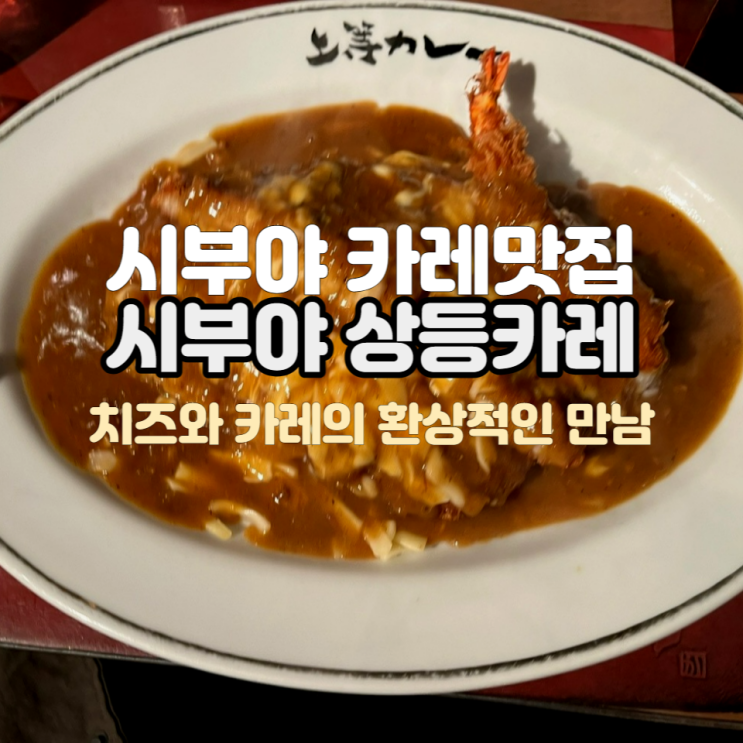 시부야 카레 맛집 시부야상등카레집