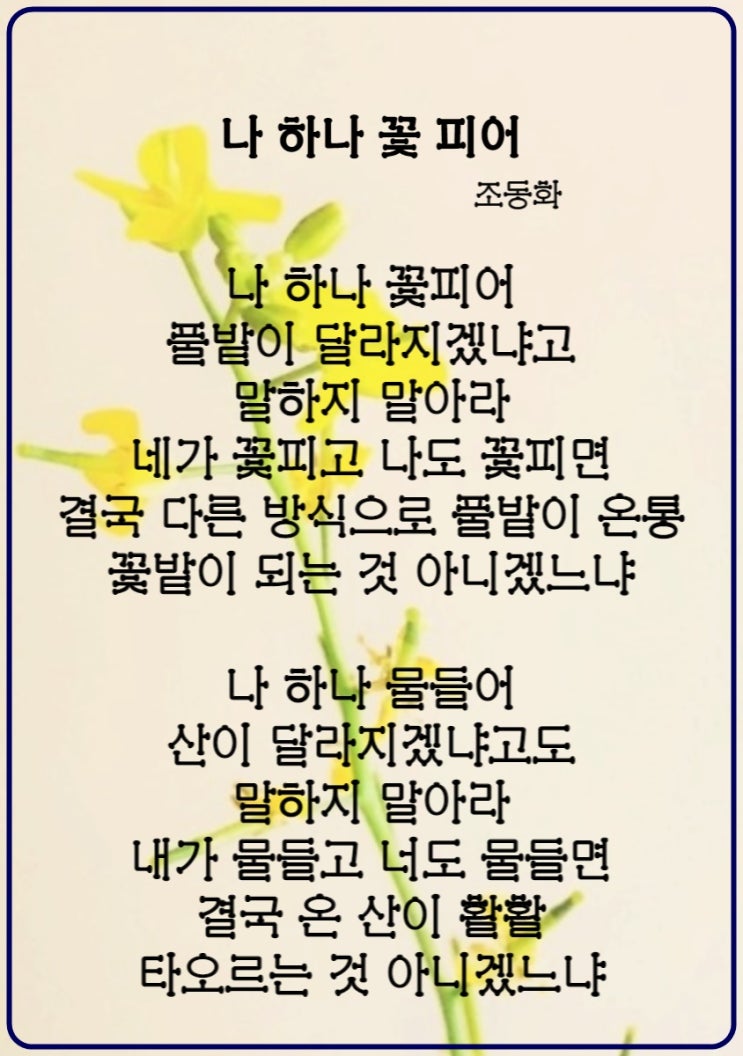  소중한 존재 나 하나 꽃 피어 조동화