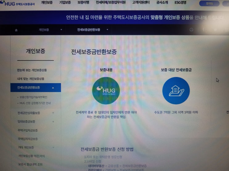  전세보증보험 종류와 비용,가입 시기 및 장단점 비교