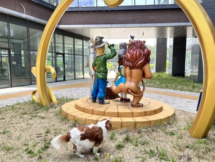  실외배변 강아지에게 이뇨제란? 용량은 또 어쩌고.