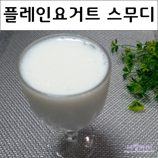  요거트 스무디 만들기 이디야 플레인요거트 파우더