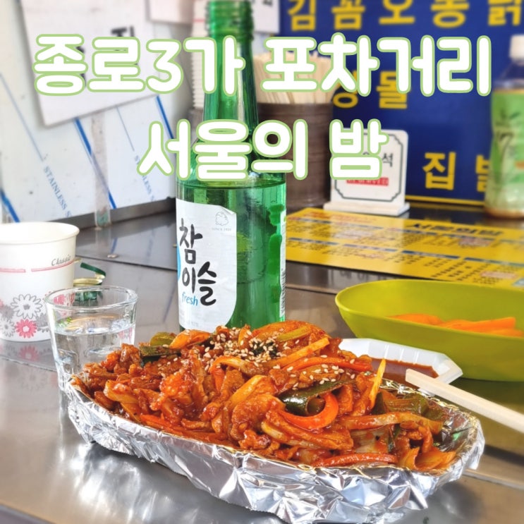  서울에서 가볼만한 힙한 종로3가 포차거리 추천포차 [서울의 밤]