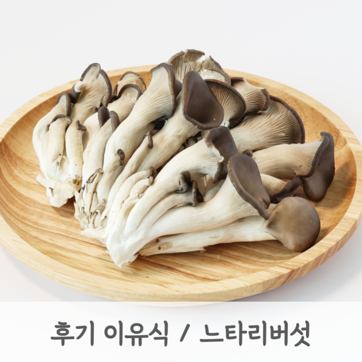 [중기이유식 / 후기이유식] 느타리버섯 큐브 만드는 방법 (느타리버섯토핑, 토핑이유식, 베이비무브)