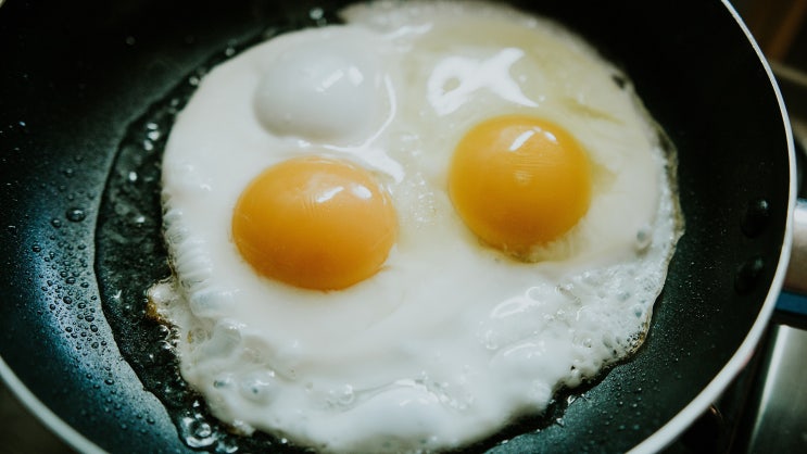  단백질 음식 어떻게 먹는 것이 좋은가