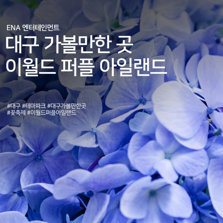  대구 가볼만한 곳 추천! 이월드 퍼플 아일랜드 정보